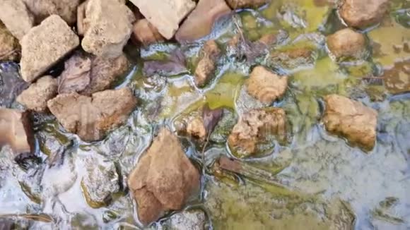 环境污染淤泥中的脏水有石头和垃圾视频的预览图