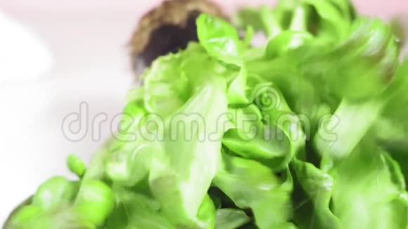 湿生菜绿色鲜脆叶沙拉喷洗巴达维亚法国或橡木叶莴苣卷心菜视频的预览图