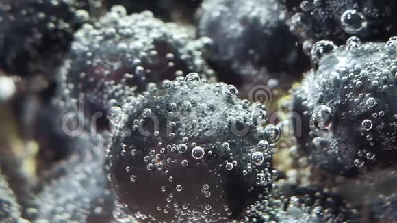 水中新鲜黑葡萄的特写镜头选择性聚焦视频的预览图