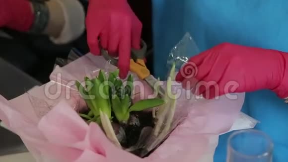 戴着红色橡胶手套的女人在花盆周围剪玻璃纸视频的预览图