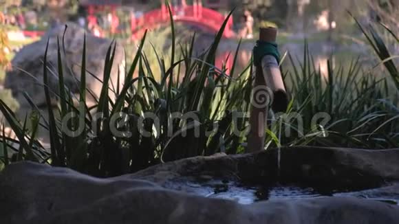 布宜诺斯艾利斯日本花园池塘旁竹喷泉的一拍视频的预览图