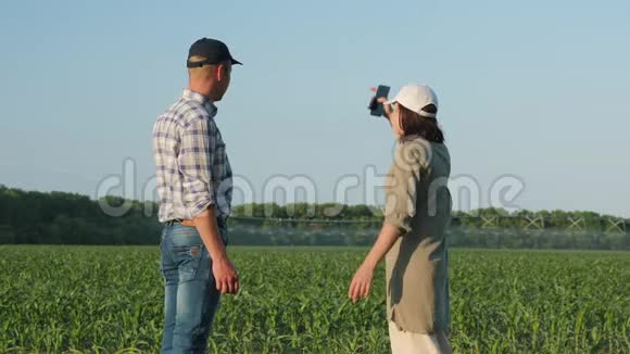 两个农民讨论给玉米地浇水视频的预览图