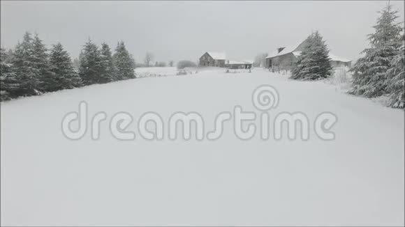 令人惊叹的空中无人机飞行在白雪公主覆盖的田野上寒冷的冬季景观中有松树视频的预览图