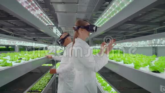 穿着白色外套的科学家不在水培农场使用虚拟现实眼镜来控制浇水遗传学家视频的预览图