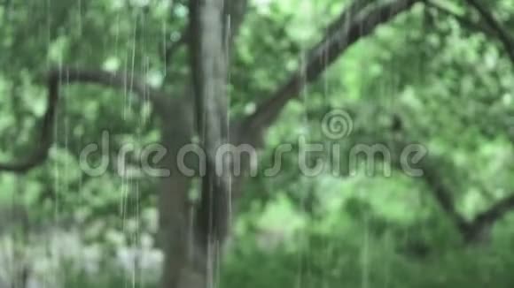 在天然绿色背景上下雨选择性聚焦散焦下雨视频的预览图