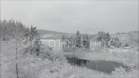 令人惊叹的空中无人机飞行在白雪覆盖的湖河上在寒冷的冬天山山景观上有松树视频的预览图