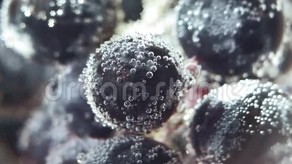 黑葡萄接近水中气泡宏观选择性聚焦视频的预览图