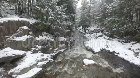 寒流缓流在冬山白雪白松林中间的石头上视频的预览图