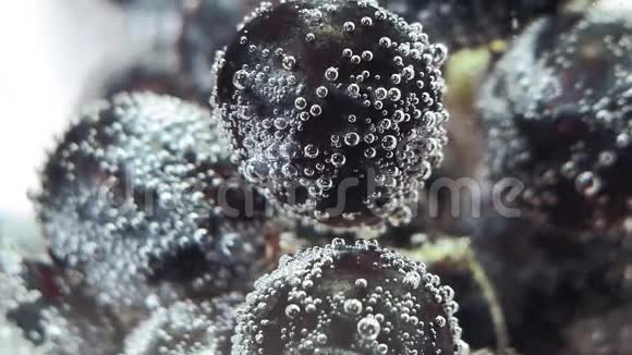 蓝黑葡萄新鲜的水果和浆果溅在水族馆里有机浆果健康食品饮食气泡视频的预览图
