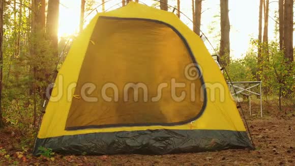 上午在阳光明媚的森林里的旅游帐篷里剪影游客游客在露营帐篷里醒来视频的预览图