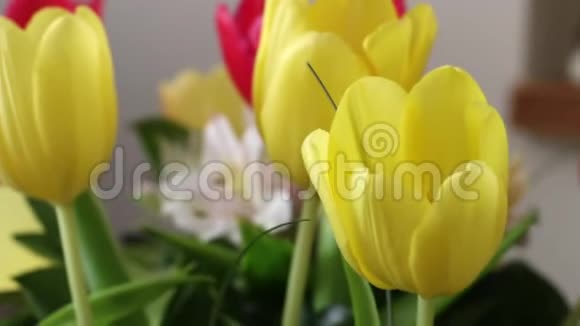 五颜六色的郁金香和其他花卉的细节客厅的镜头视频的预览图
