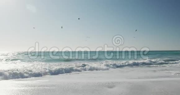 迷人的海岸景观与海滩视频的预览图