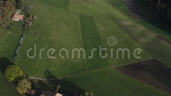 绿色草地和典型的瑞士村庄视频的预览图