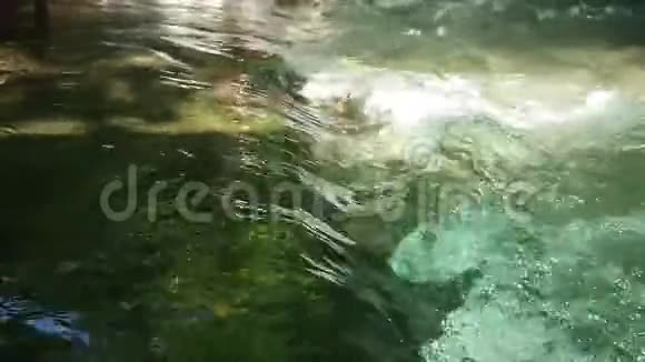 泉水流过小岩石慢动作视频视频的预览图