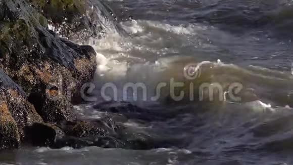海水溅落在岩石上视频的预览图