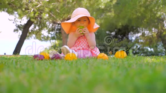 快乐的童年概念带着水果的孩子在后院户外玩耍快乐的童年概念幼儿坐在绿色上视频的预览图