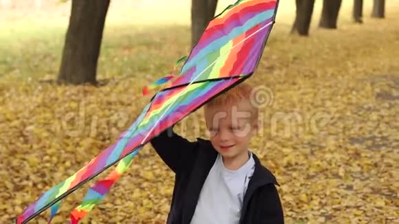 一个金发小男孩在一个秋天的公园里黄树间放风筝慢动作视频的预览图