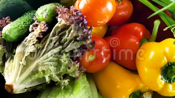 各种新鲜蔬菜和草药精选包括胡萝卜土豆黄瓜番茄卷心菜生菜甜菜视频的预览图