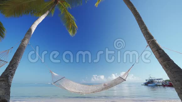 海边热带海滩棕榈树之间空吊床视频的预览图