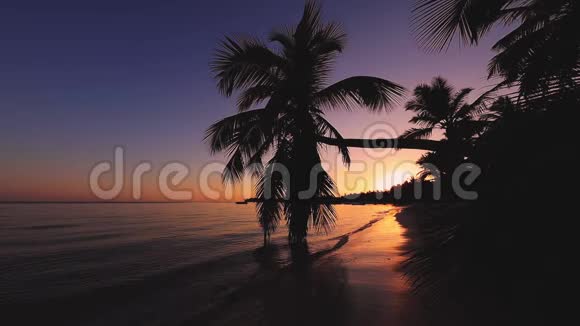 日出覆盖热带岛屿海滩和棕榈树多米尼加共和国蓬塔卡纳视频的预览图