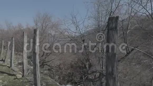 被遗弃的狩猎小屋在温暖的阳光下在中间视频的预览图