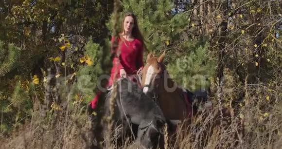 白种人年轻的雌性马术运动员坐在黑马背上抱着棕色种马缰绳的肖像视频的预览图