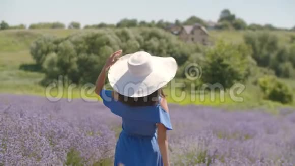 优雅梦幻的女性在薰衣草的田野里休息视频的预览图