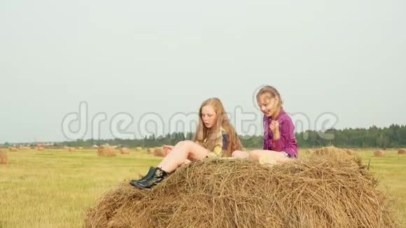 两个穿着格子衬衫的可爱女孩坐在干草堆上在田野里聊天视频的预览图