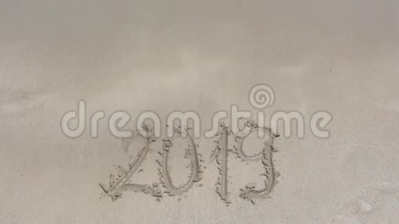 写了2019年在沙滩上的湿沙视频的预览图