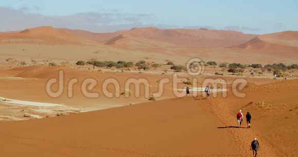 令人惊叹的纳米布沙漠景观一群游客步行沙丘4k视频的预览图