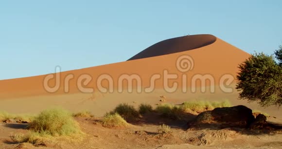 绿树和一个巨大的沙丘背景人们步行4K视频的预览图