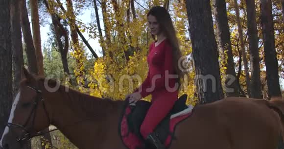 在秋天的森林里白种人女孩长着棕色的头发穿着粉红色的衣服坐在棕色的马背上青年视频的预览图
