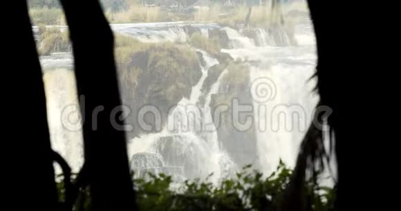 从赞比亚维多利亚瀑布的黑暗丛林中观看4k视频的预览图