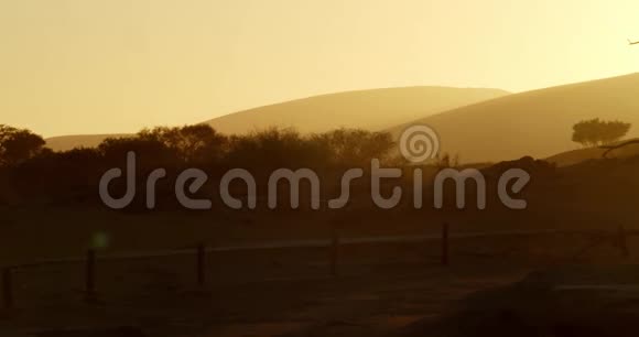 上午令人惊叹的纳米比亚沙漠全景日出4k视频的预览图