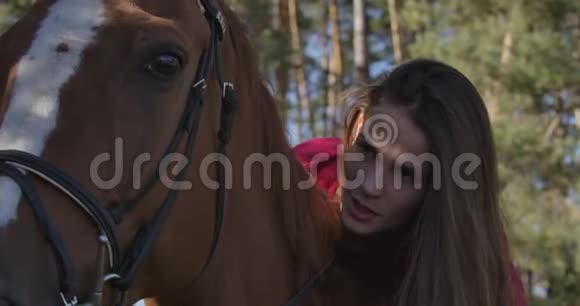白人女性马术的特写躺在马背上和她的宠物说话美丽的棕马白色视频的预览图