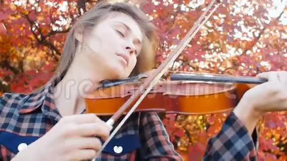 浪漫少女在红叶的背景下拉小提琴的秋景年轻女子在大自然中的表演一种豪的概念视频的预览图