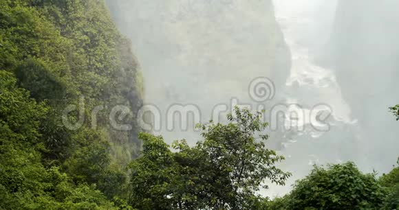 从维多利亚瀑布下的赞比西河上观看从丛林中观看4k视频的预览图