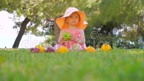 有机水果背景孩子在公园里吃有机苹果巴拿马的孩子在后院户外玩得很开心快乐视频的预览图