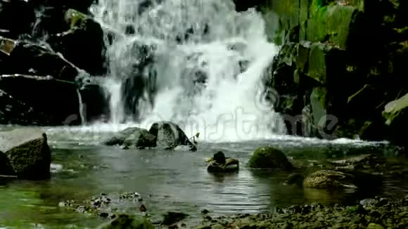 马拉德鸭子在瀑布处游泳视频的预览图