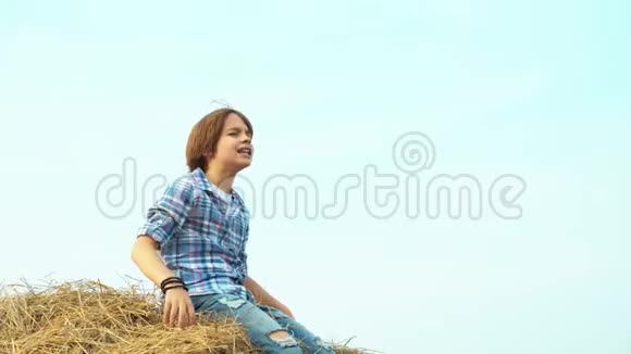 小男孩少年坐在干草堆上收割村庄的田地尖叫的少年男孩坐在干草堆高峰视频的预览图