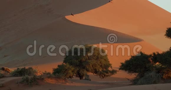 在一个巨大的沙丘上令人惊叹的景色人们正在看纳米比亚的日出视频的预览图
