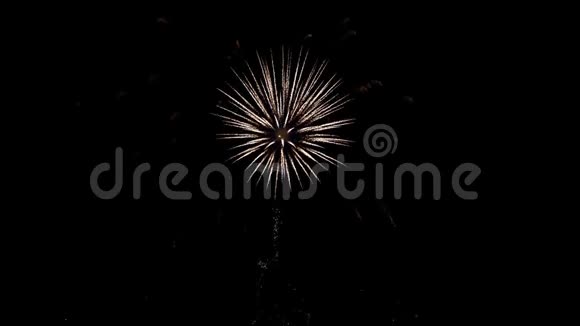烟花在夜空闪耀庆祝音乐会2020年假日视频的预览图