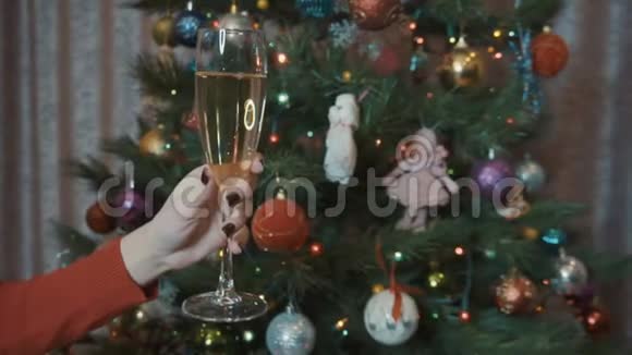 圣诞树背景上的一杯香槟视频的预览图