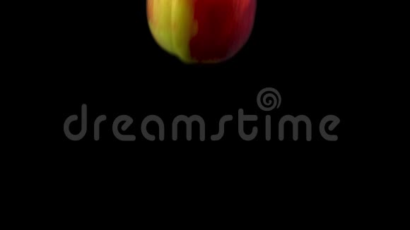 桃子掉在水里与阿尔法隔离在黑色背景上近景视频的预览图