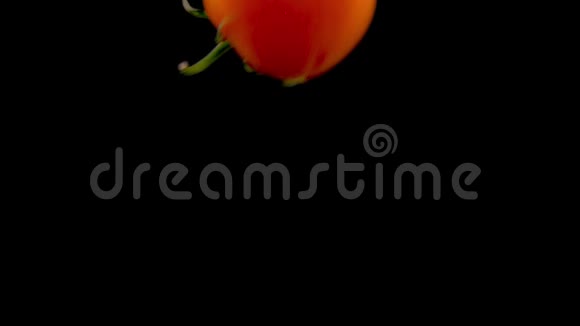 西红柿掉在水里与阿尔法隔离在黑色背景上近景视频的预览图