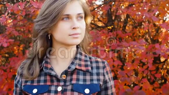 浪漫少女在红叶的背景下拉小提琴的秋景年轻女子在大自然中的表演一种豪的概念视频的预览图