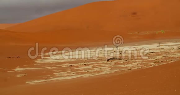 明亮的橙色沙子在纳米布沙漠中有一小片白色沙子4k视频的预览图