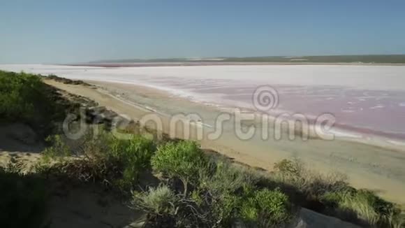 粉红湖瞭望台视频的预览图