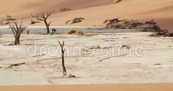游客们在美丽的纳米布沙漠白沙4漫步视频的预览图
