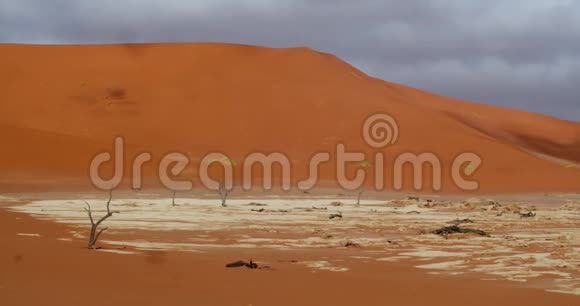 纳米比亚沙漠五颜六色的沙子大石头和死树纳米比亚的自然4k视频的预览图